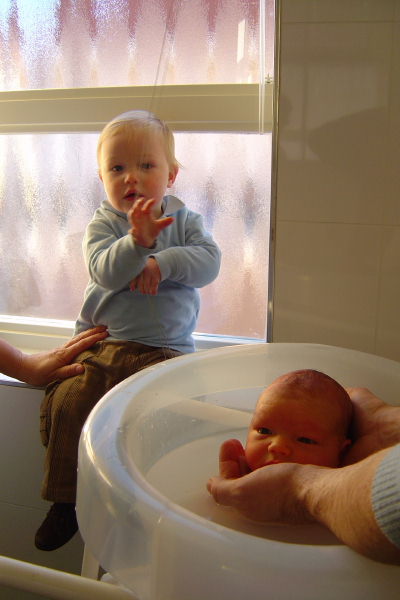 Image 24 of 56  -  39 kB